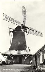 Wachtum, Molen gebouwd anno 1863 - ongelopen, Ophalen of Verzenden, Voor 1920, Ongelopen, Noord-Brabant