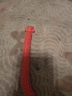 Vleermuis, Ophalen of Verzenden