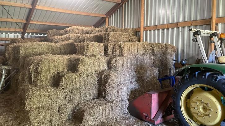 Hooibalen - Droog en Grof - Onbemest Weiland, Zakelijke goederen, Agrarisch | Aardappelen, Groenten, Fruit en Vlees, Ophalen