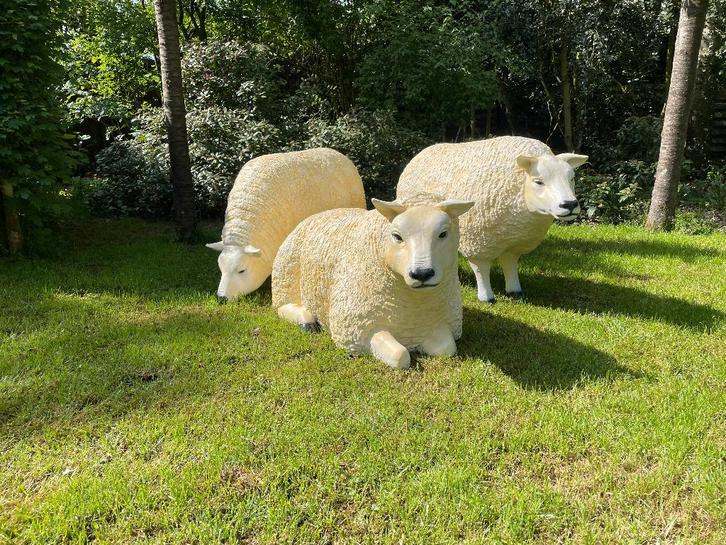 (Tuin)Beeld texel schapen, 3 stuks tuin, boerderij, gazon, Tuin en Terras, Tuinbeelden, Nieuw, Dierenbeeld, Kunststof, Ophalen