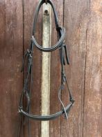 Premiere hoofdstel, lage neusriem, Dieren en Toebehoren, Paarden en Pony's | Hoofdstellen en Tuigage, Ophalen of Verzenden, Nieuw