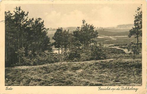 (388-469-007) Ede Gezicht op de Dikkeberg, Verzamelen, Ansichtkaarten | Nederland, Gelderland, Verzenden