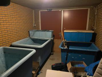 Quarantaine vijverbak / koi bak beschikbaar voor biedingen