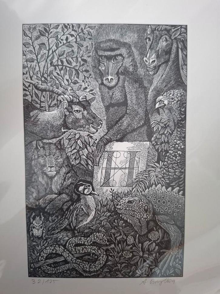 Houtgravure bloedsomloop dieren Andreas Brylka 1977 32/125, Antiek en Kunst, Kunst | Etsen en Gravures, Ophalen of Verzenden