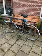Giant expedition framemaat 53, Ophalen, 28 inch, Gebruikt, Giant
