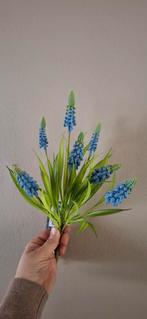 Blauwe en Witte Druifjes Nieuw, Ophalen of Verzenden, Nieuw