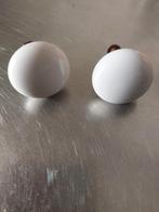 Porseleinen knopjes., Ophalen of Verzenden