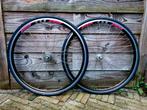 Rigida CSB DP18 Campagnolo retro racefiets wielset, Wiel, Gebruikt, Campagnolo, Racefiets