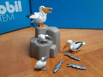  wild life zeedieren vogels dierentuin 9070 pelikaan familie beschikbaar voor biedingen