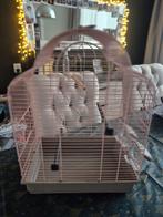 Supermooi en leuk kanariekooitje, Dieren en Toebehoren, Vogels | Kanaries, Kleurkanarie