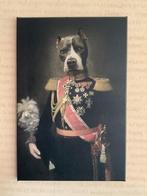 Grappig honden schilderij, Ophalen, Schilderij, 50 tot 75 cm