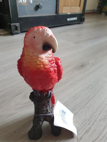 papegaai ara beeld op stam oranje blauw beschikbaar voor biedingen