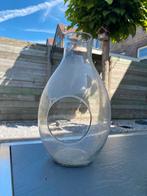 Hoge vaas terrarium, Ophalen, Zo goed als nieuw, Glas, Minder dan 50 cm