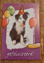 Hond met feesthoedje en ballonnen, Verzamelen, Verzenden, Gelopen, Hond of Kat