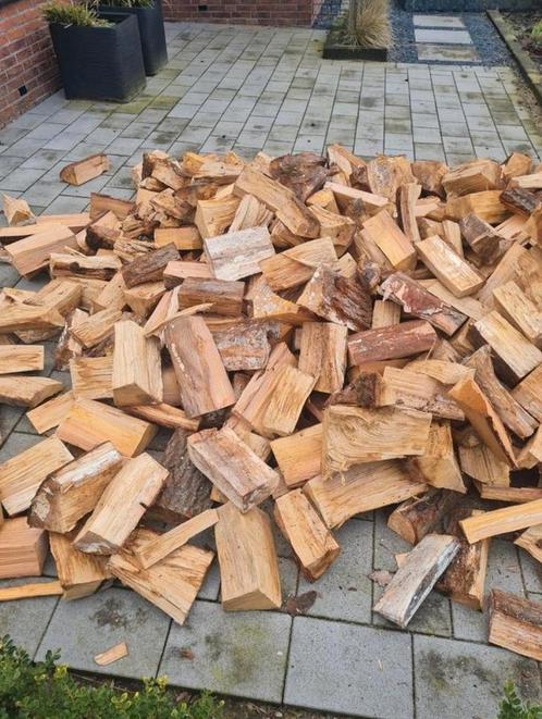 Droog eiken brandhout haardhout kachelhout gratis bezorgd, Tuin en Terras, Haardhout, Blokken, Eikenhout, 6 m³ of meer, Ophalen