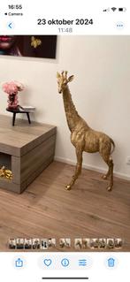 Giraf 103 cm, Ophalen, Nieuw, Dier