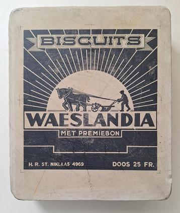 Mooie litho steen / druksteen WAESLANDIA bisquits beschikbaar voor biedingen