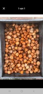 Walnoten €6 per kilo, Ophalen