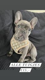 Gg honden tuigen, Ophalen of Verzenden, Nieuw