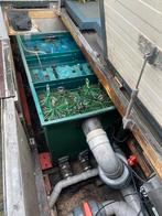 3 kamer filter, Ophalen, Gebruikt, Vijverfilter