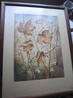 Herfst Tafereel Met Bladeren Mooie Aquarel WA WILLEMS, Antiek en Kunst, Kunst | Schilderijen | Klassiek, Ophalen of Verzenden