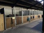 Pensionstalling, Dieren en Toebehoren, Weidegang, 1 paard of pony
