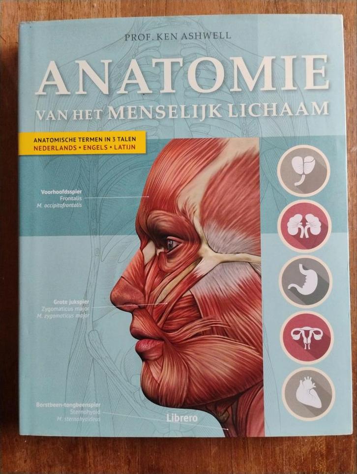 Anatomie van het Menselijk Lichaam - Ken Ashwell, Boeken, Gezondheid, Dieet en Voeding, Zo goed als nieuw, Gezondheid en Conditie