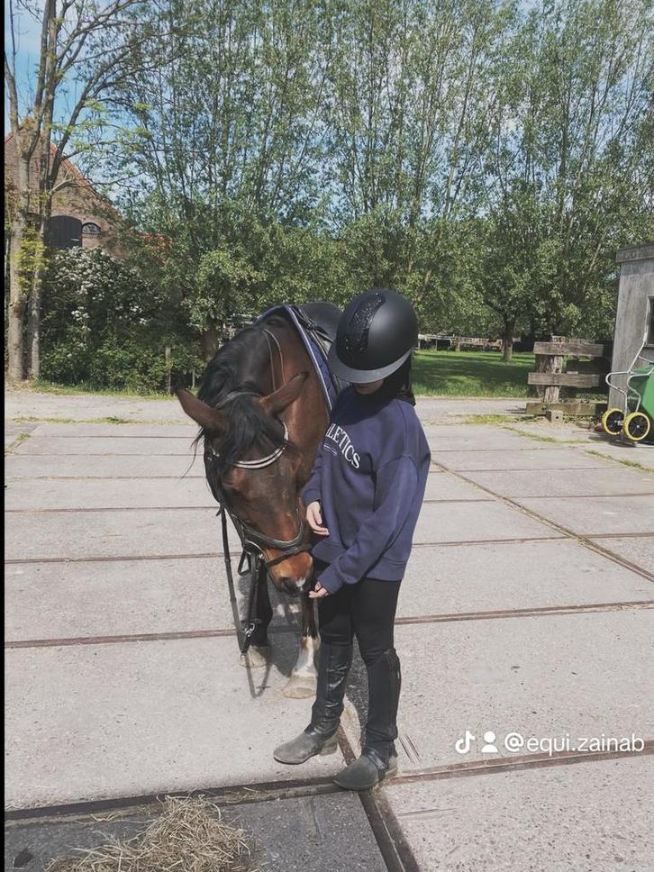 Bijrijder/verzorger aangeboden, Dieren en Toebehoren, Paarden en Pony's | Overige Paardenspullen, Ophalen of Verzenden