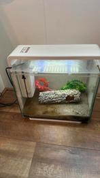 Te koop een mooie Superfish home 40, Ophalen, Zo goed als nieuw, Leeg aquarium