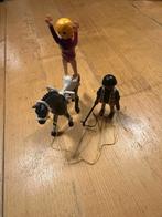 playmobil 5229 country voltigier training, Ophalen of Verzenden, Zo goed als nieuw, Complete set