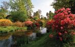 Tuinposter 200 x 320 cm (h x br.), Verzenden, Nieuw