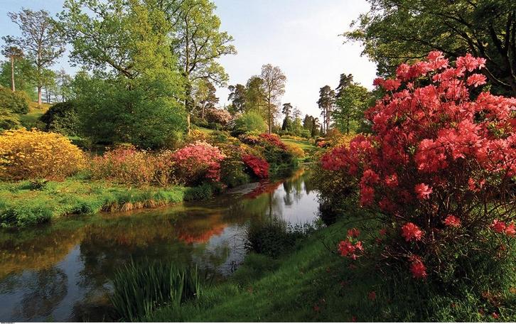 Tuinposter 200 x 320 cm (h x br.), Tuin en Terras, Tuinwanddecoratie, Nieuw, Verzenden