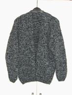 vest mooi nieuw vest maat 44, Kleding | Dames, Truien en Vesten, Ophalen of Verzenden, Nieuw, Maat 42/44 (L)