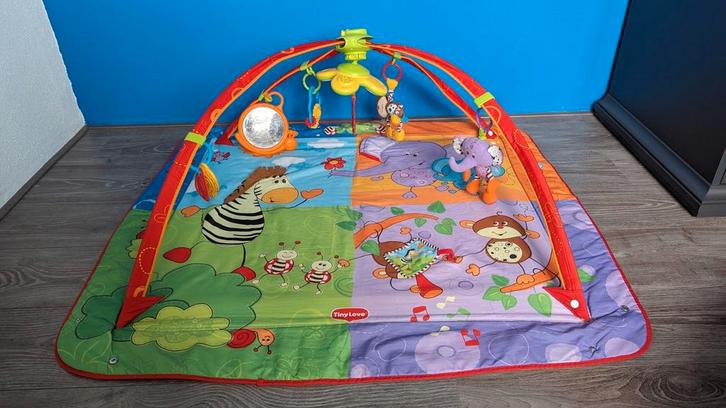 Tiny Love Gymini Move and Play Speelboog, Kinderen en Baby's, Speelgoed | Speelkleden, Gebruikt, Ophalen of Verzenden