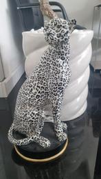 Prachtige cheeta, Ophalen of Verzenden