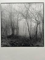 Zeefdruk van foto Ralph Janowski, Antiek en Kunst, Kunst | Litho's en Zeefdrukken, Verzenden