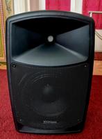 Audiophony CR12A-COMBO Speaker, Audio, Tv en Foto, Luidsprekers, Gebruikt, 120 watt of meer, Front, Rear of Stereo speakers, Ophalen