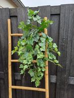 Prachtige kunst hangplant nieuw, Huis en Inrichting, Ophalen of Verzenden, Nieuw