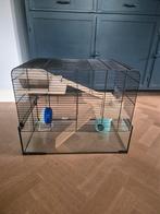 Ruime hamsterkooi, Dieren en Toebehoren, Knaagdieren, Mei, Meerdere dieren, Hamster