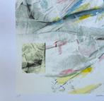 Zeefdruk Leo Musch, Antiek en Kunst, Kunst | Litho's en Zeefdrukken, Verzenden