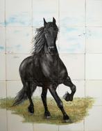 tegeltableau zwart - wit, keukentegels, Friese witjes, nieuw, Nieuw, Minder dan 20 cm, Minder dan 5 m², Wandtegels