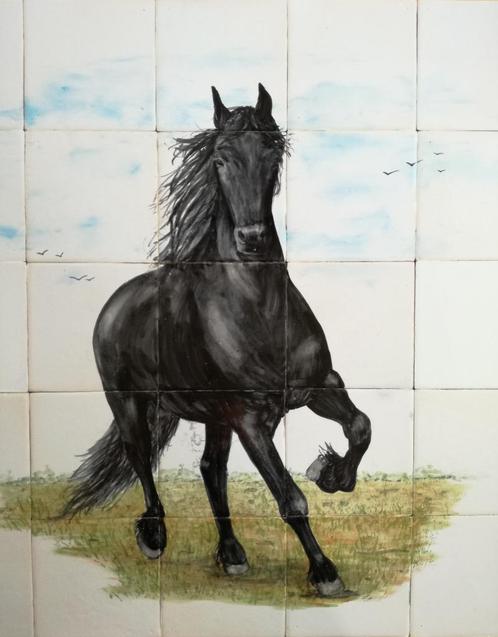 tegeltableau zwart - wit, keukentegels, Friese witjes, nieuw, Doe-het-zelf en Verbouw, Tegels, Nieuw, Wandtegels, Keramiek, Minder dan 20 cm