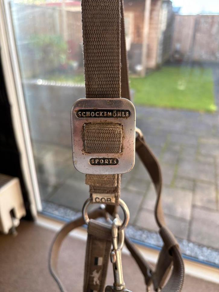 Schockemöhle halster COB, Dieren en Toebehoren, Paarden en Pony's | Hoofdstellen en Tuigage, Gebruikt, Overige soorten, Ophalen of Verzenden
