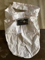 Wedstrijd rijden dressuur paardrijden witte choker + speldje, Ophalen of Verzenden, Dressuur