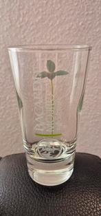 Bacardi Mojito glas met stamper, Ophalen of Verzenden, Zo goed als nieuw, Borrel- of Shotglas