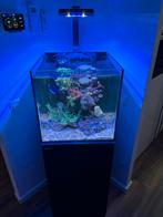 Zeeaquarium Red Sea Nano Reefer 125, Dieren en Toebehoren, Vissen | Aquaria en Toebehoren, Ophalen, Zo goed als nieuw, Gevuld zeewateraquarium