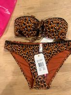 Shiwi bikini top 34B/34C slip 36 NIEUW!! Nu €10,-, Kleding | Dames, Badmode en Zwemkleding, Ophalen of Verzenden, Nieuw, Bikini
