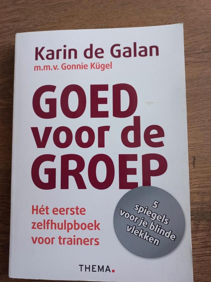 Karin de Galan - Goed voor de groep, Boeken, Advies, Hulp en Training, Nieuw, Ophalen of Verzenden