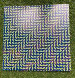 Animal Collective: Merriweather Post Pavillion (LP), Ophalen, Gebruikt, 12 inch