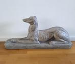 Mooi Windhond Galgo Greyhound beeld liggend, Ophalen